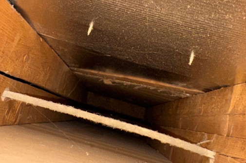 EcoFresh Vent Cleaners about